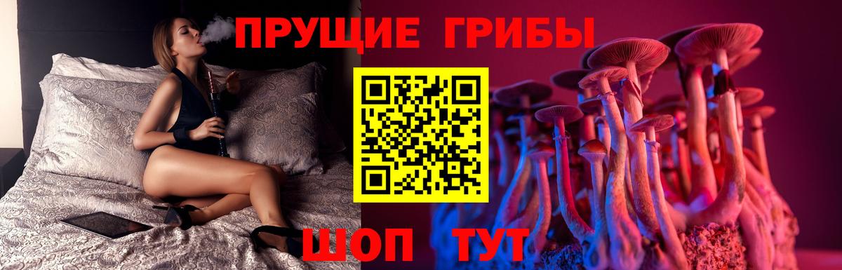 Галлюциногенные грибы MAGIC MUSHROOMS  Вход с VPN  Можайск 